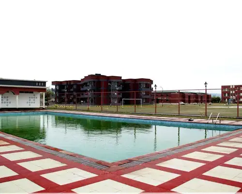 Recreational Activities