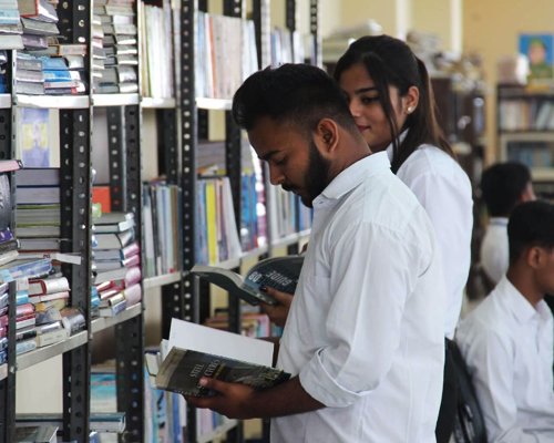 Well Stocked Library